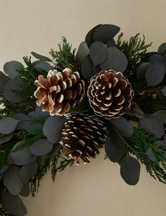 Couronne de cèdre d'hiver préservée