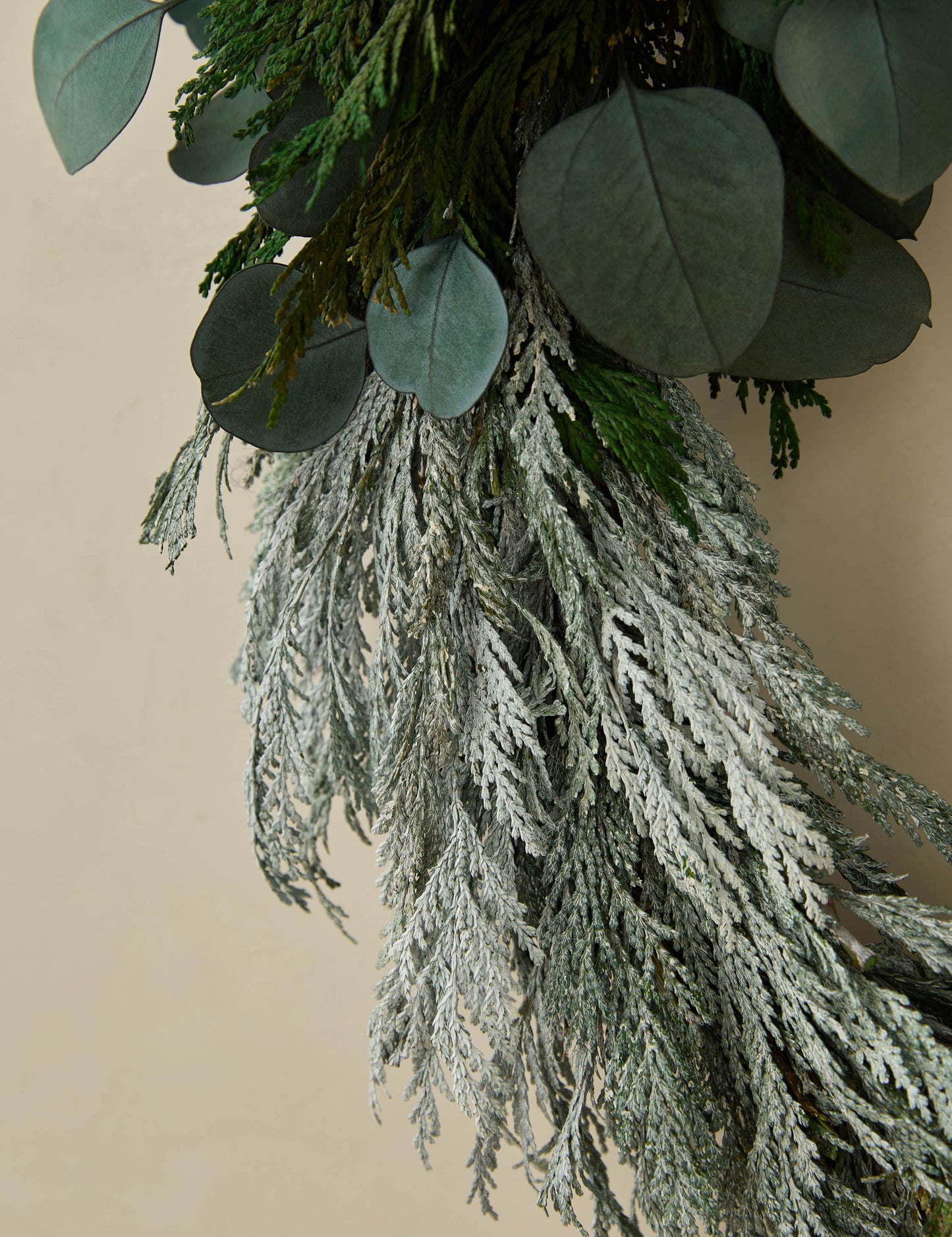 Couronne de cèdre d'hiver préservée