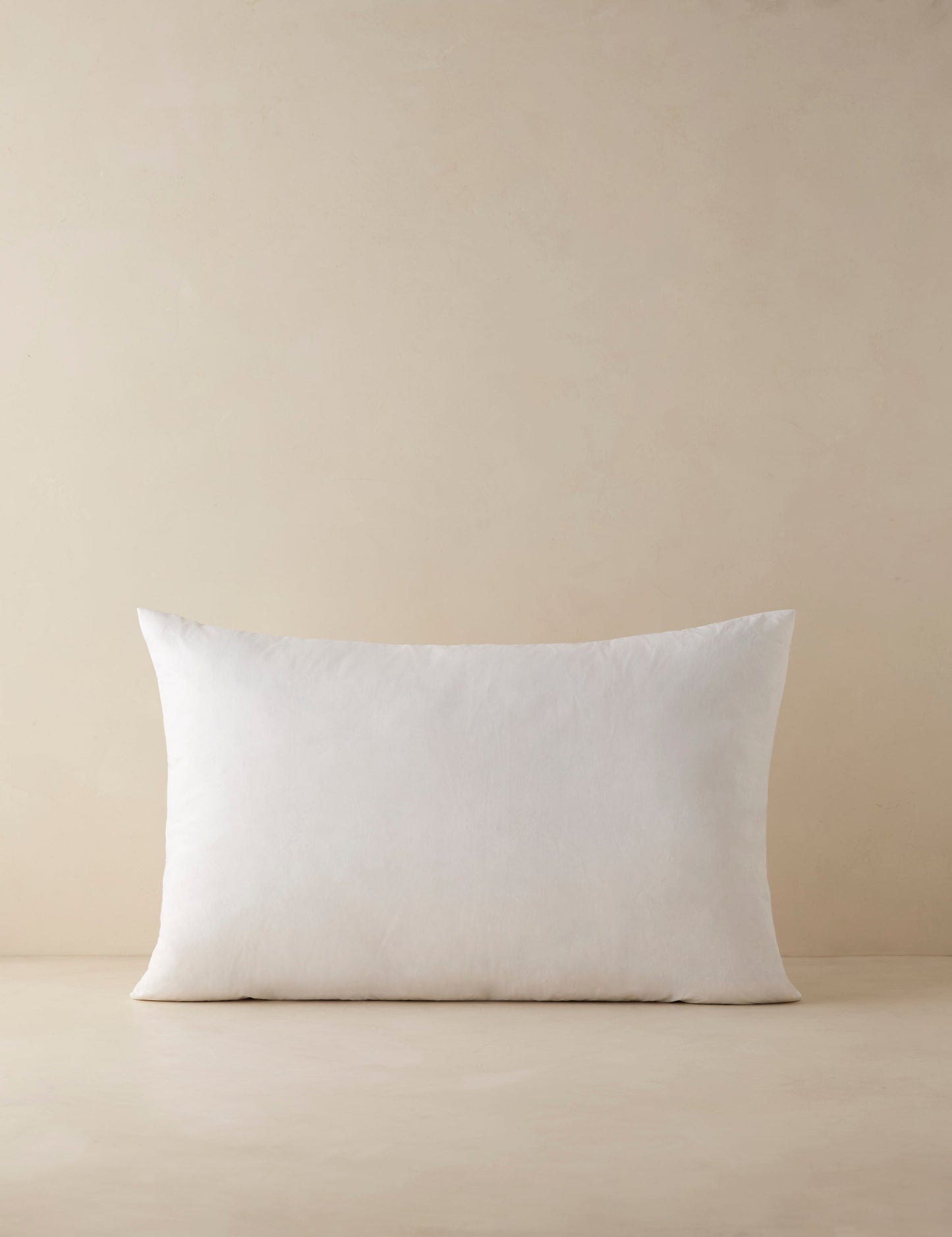 Coussin décoratif en plumes et duvet