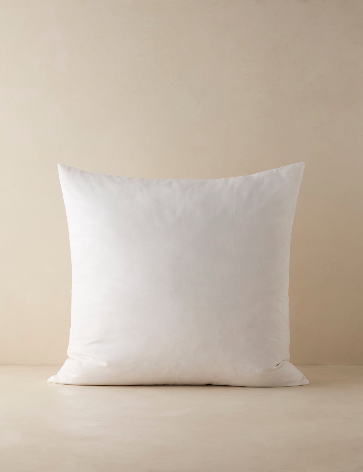 Coussin décoratif en plumes et duvet