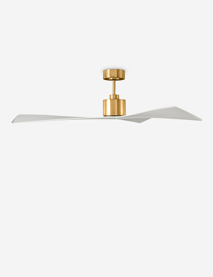 Ventilateur de plafond Renzo