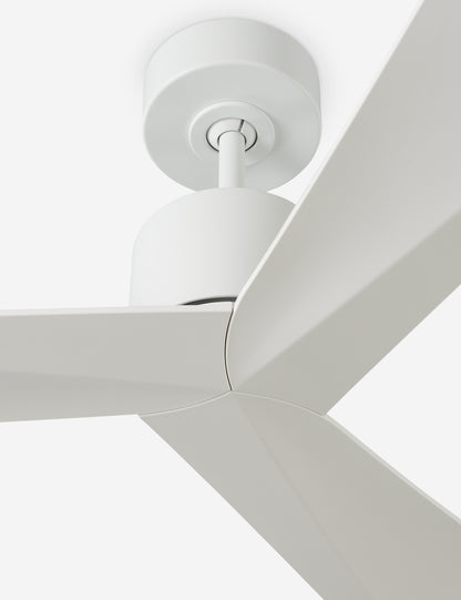 Ventilateur de plafond Renzo