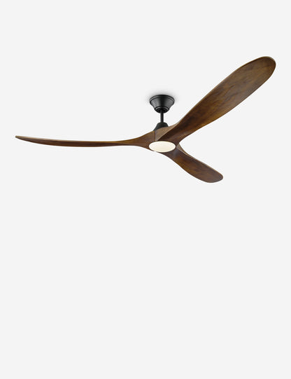 Ventilateur de plafond Delos