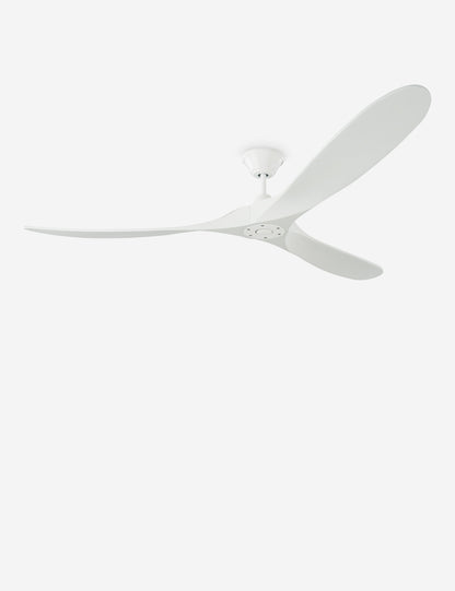 Ventilateur de plafond Delos