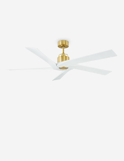 Ventilateur de plafond Llorente