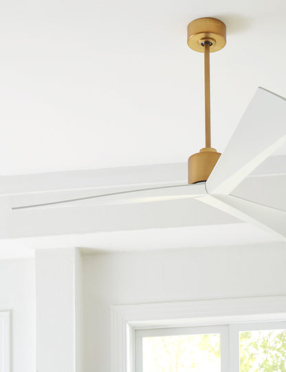 Ventilateur de plafond Renzo